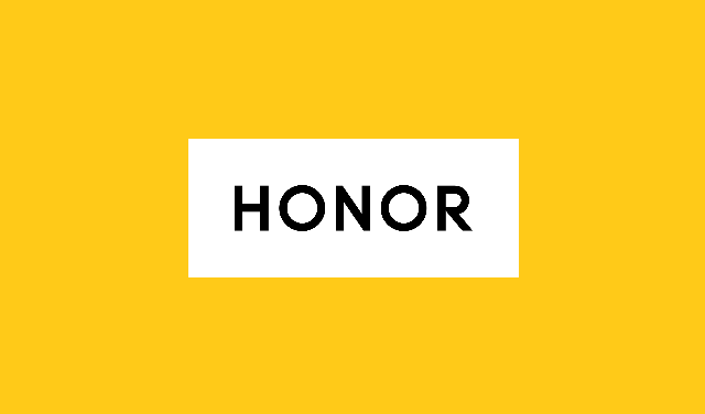 Honor authorized service centre.